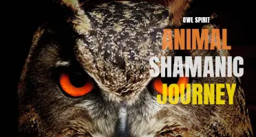 Journeying with the Owl: Exploring the Shamanic Power of Owl Spirit Animal