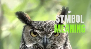 Understanding the Symbolic Meaning of Owls