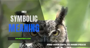 The Mysterious and Symbolic Meaning of Owls Revealed