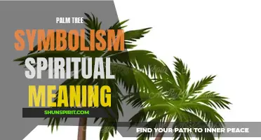 Unveiling the Spiritual Meaning and Symbolism of Palm Trees: Connecting Earth and Spirit