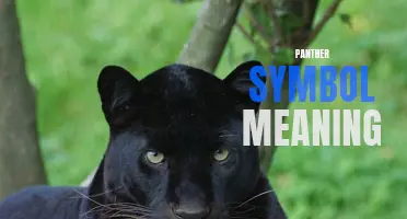 The Hidden Symbolism Behind the Panther: Unearthing Its Deeper Meaning