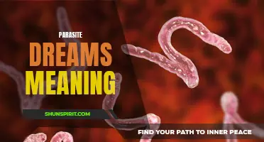 The Intriguing Depths of Parasite Dreams: Unraveling Their Symbolism
