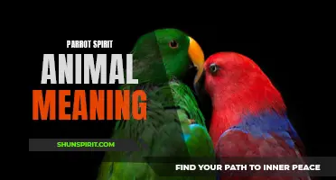 The Vibrant Wisdom: Understanding the Parrot Spirit Animal Meaning