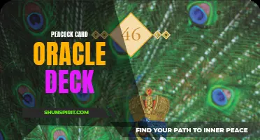The Stunning and Symbolic World of the Peacock Card Oracle Deck