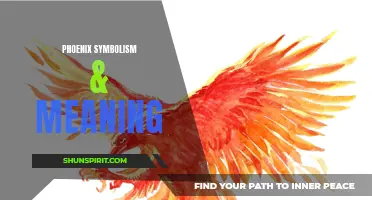 The Power and Transformation of Phoenix Symbolism & Meaning