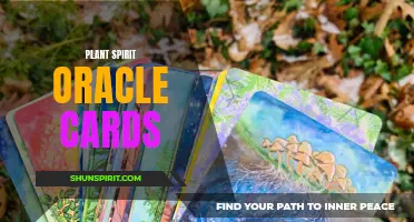 The Power of Connection: Harnessing the Wisdom of Plant Spirits with Oracle Cards