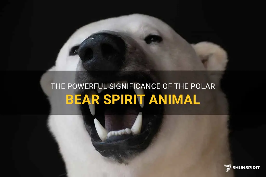 polar bear spirit animal meaning