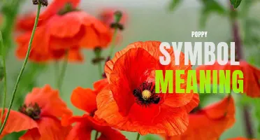 Understanding the Poppy Symbol: What Does it Mean?