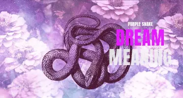 The Meaning of Purple Snakes in Dreams: Insights and Interpretations