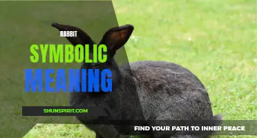 Exploring the Symbolic Meaning of Rabbits: A Guide to Understanding Their Significance