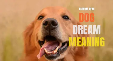 The Symbolic Interpretation of a Dream About a Deceased Dog
