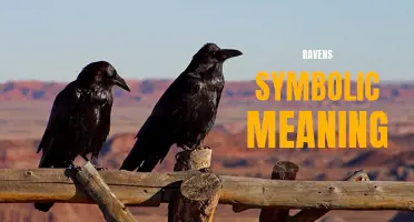 The Symbolic Meaning Behind Ravens: Understanding Their Significance in Different Cultures