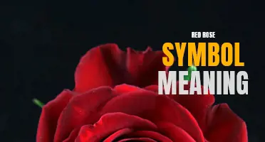 The Symbolic Meaning of the Red Rose: Unveiling Its Deep Significance