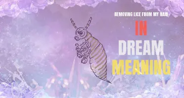 Exploring the Symbolic Meaning of Removing Lice From Hair in Dreams