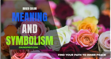 Unveiling the Symbolic Meaning and Deep Significance of Roses' Captivating Colors