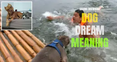 The Symbolic Meaning of Saving a Drowning Dog in Dreams