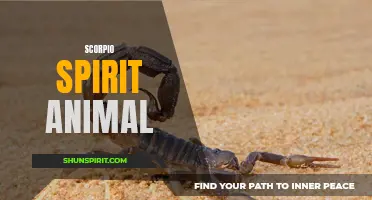 Unleashing the Power: Scorpio's Spirit Animal Guide to Transformation