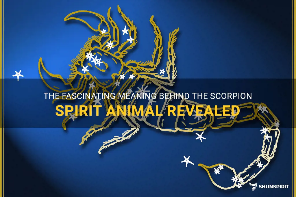 scorpion spirit animal meaning