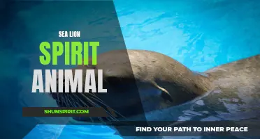 Embrace the Grace: The Sea Lion Spirit Animal Guide