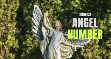 Seeing the Meaning Behind the 123 Angel Number