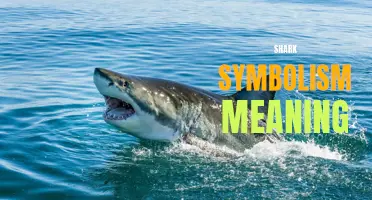 Exploring the Fascinating Symbolism and Meaning of Sharks