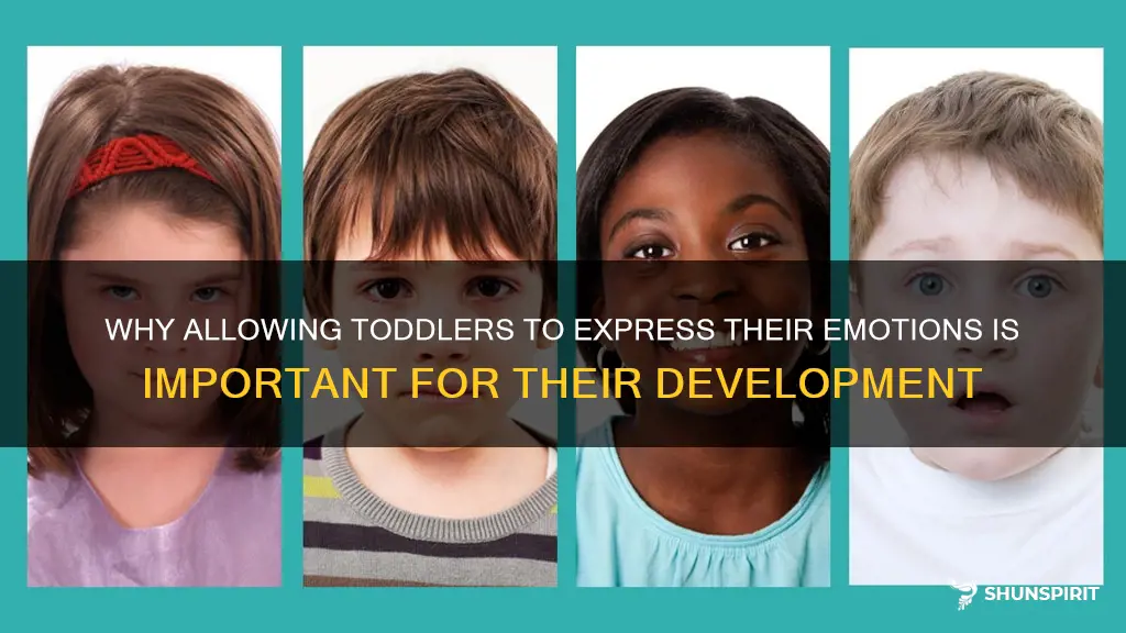 should toddlers be allowed to show emotions