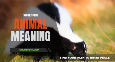 The Spiritual Meanings Behind the Skunk as a Spirit Animal