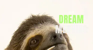 The Hidden Symbolism and Interpretations of Sloth Dreams