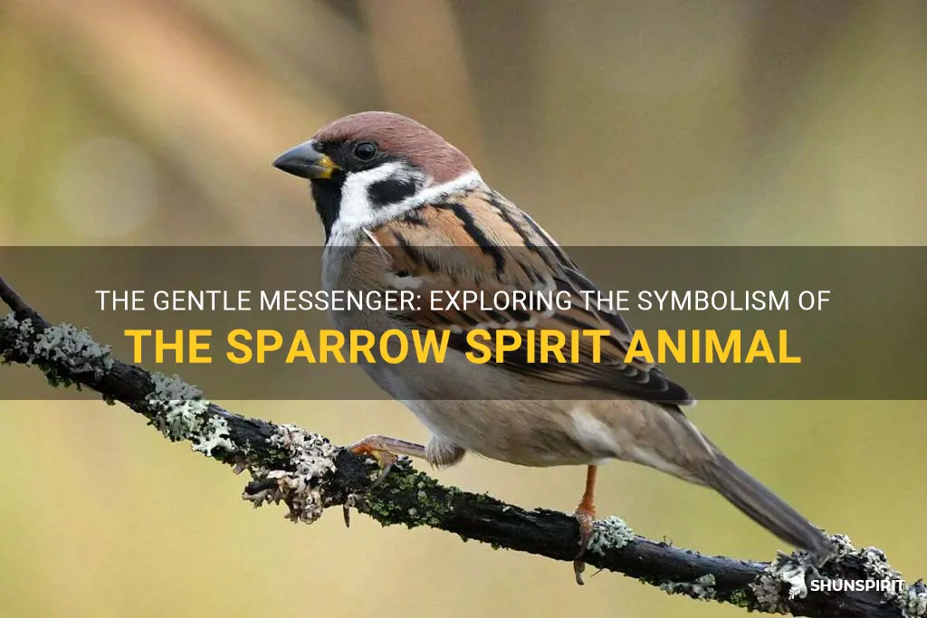 sparrow spirit animal