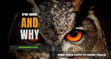 Discover the Power of Your Spirit Animal and Connect with Nature