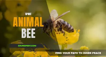 The Empowering Symbolism of the Spirit Animal Bee
