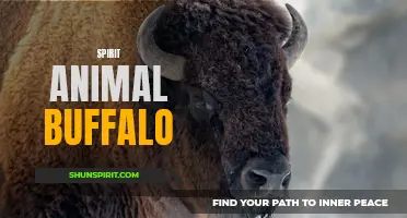 The Powerful Symbolism of the Buffalo as a Spirit Animal