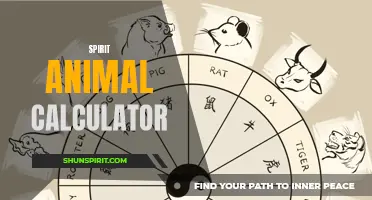 Discover your spirit animal with this fun and insightful calculator