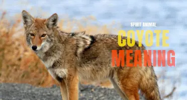 Unveiling the Symbolic Significance of the Coyote Spirit Animal