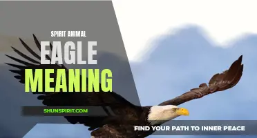 The Symbolic Significance of the Majestic Eagle as a Spirit Animal
