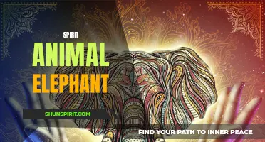 Elephant: The Majestic and Wise Spirit Animal