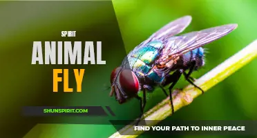 The Flight of the Spirit: Discovering Your Inner Fly