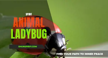 The symbolism and significance of the ladybug as a spirit animal