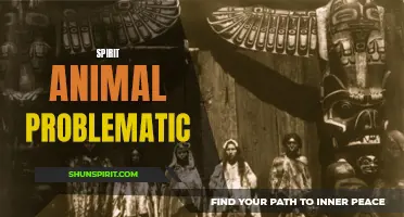 The dilemma of identifying and understanding one's spirit animal