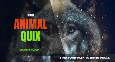 Exploring the Power and Significance of Spirit Animals in Quix