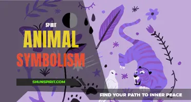 Exploring the Meaning and Symbolism of Spirit Animal Guides
