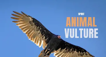 The Symbolic Significance of the Vulture as a Spirit Animal