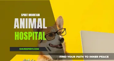 Expert Care for Your Furry Friends at Spirit Mountain Animal Hospital