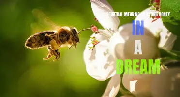 The spiritual significance of consuming honey in a dream