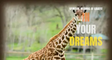 The Spiritual Symbolism of Giraffes in Your Dreams