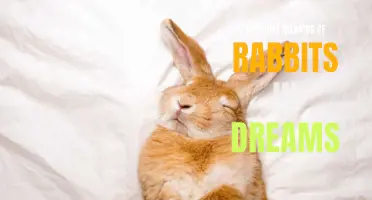 Symbolic significance of rabbits in dreams: exploring spiritual interpretations
