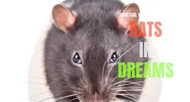 The spiritual symbolism of white rats in dreams: Explained