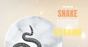 The Meaning of Stepping on a Snake in Your Dream