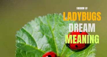 Exploring the symbolic meaning of a swarm of ladybugs in dreams
