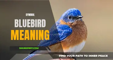 The Symbolic Meaning of a Bluebird: A Guide to Understanding its Significance